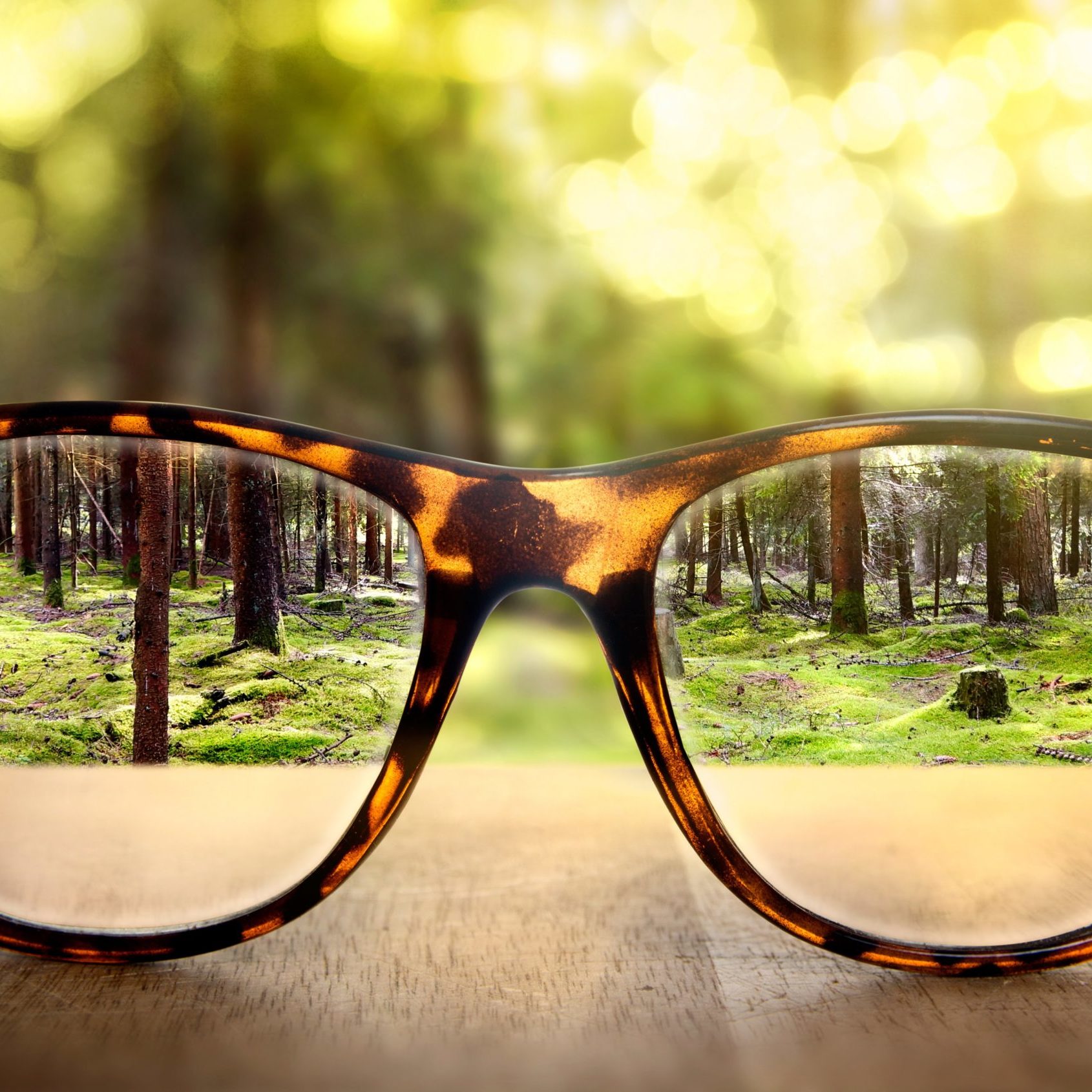 Systemtheorie in der Praxis - Blick auf die Brille Systemtheorie in der Praxis - Blick auf die Brille